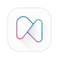 Shynleï Le réseau de lâme Logo
