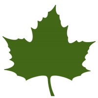 Spross Logo