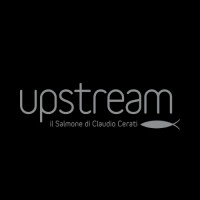 Upstream - Il salmone di Claudio Cerati Logo