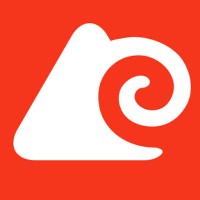 Flowing Freeride Online Snowboard School Logo