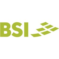BSI, LLC Logo