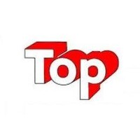 Top Personnel Consultant Logo