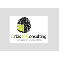 Orbis It Consulting Logo