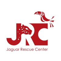 Jaguar Rescue Center Foundation Logo