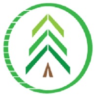 Evergreen Strategy & Accounting Group Logo