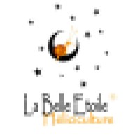 La Belle Etoile Heliciculture Consulting & International Trade Ltd. Co. Logo