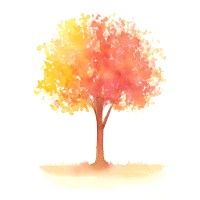 TorahRedux | Ancient Words; Timeless Wisdom Logo