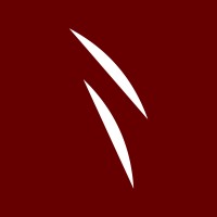 Noii studio Logo