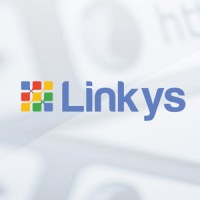 Linkys Marketing Digital Logo