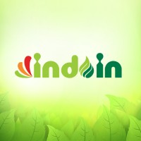 Indoin Business Group Logo