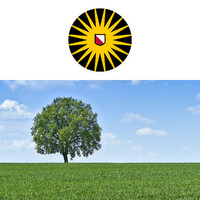 Copernicus Institute of Sustainable Development, Utrecht University Logo