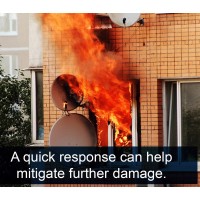 Rainbow International – Essex, London & Counties Logo