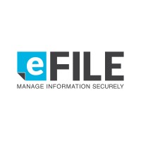 eFile - A Metrofile Group Company Logo