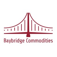 Baybridge Commodities Inc Logo