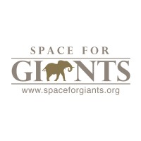 Space for Giants Logo
