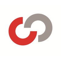 Consulting Service S.r.l. Logo