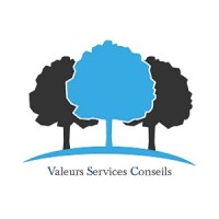 Valeurs Services Conseils Logo