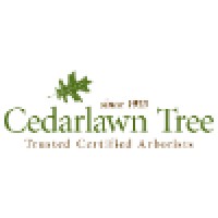 Cedarlawn Tree Logo
