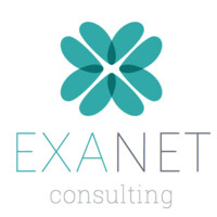EXANET Consulting Logo