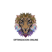 Optimización Online Logo