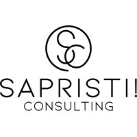 Sapristi! Consulting - digital marketing & advertising Logo