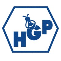 Grupo H G P Logo