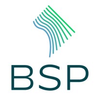 Boundary Stone Partners Logo