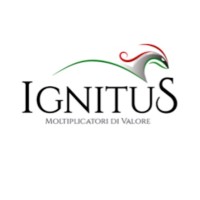 Ignitus - Moltiplicatori di Valore Logo