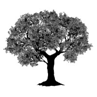 Old Orchard Capital Management LP Logo