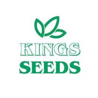 Kings Seeds Logo