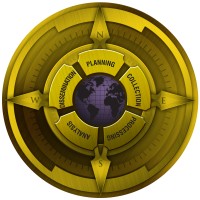 Nelson Intelligence Solutions, LLC Logo