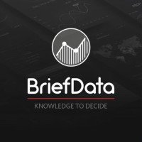 BriefData Logo