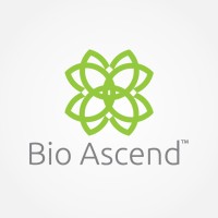 Bio Ascend Logo