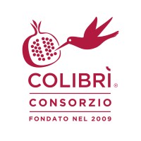 Consorzio Ospedaliero Colibrì Logo