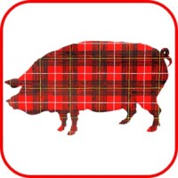 Plaid Pig Public Relations Logo