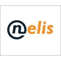 Nelis-IT Services Logo