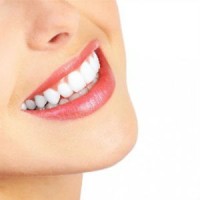 Chestnut Family Dental Logo
