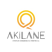 Akilane Stratejik Danışmanlık & Yönetim A. Ş. Logo