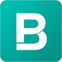 BigPicture.io Logo