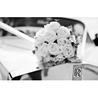 The Florist Farnborough Ltd Logo