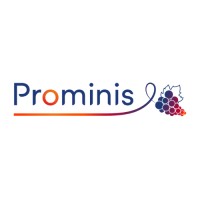 Prominis Logo