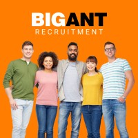 BIG ANT recruitment solutions Logo
