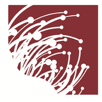 Leading Language Logo