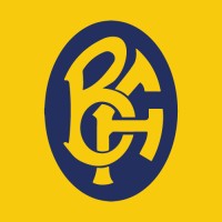 Bavini Ferreira Corretora de Seguros Logo