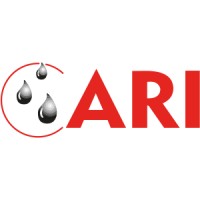 ARI YANGIN Logo