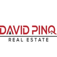David Pino Real Estate Logo