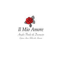 Il Mio Amore Logo