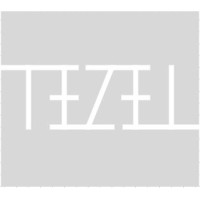 tezel consulting AB Logo