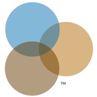 The Information Strategists, LLC Logo