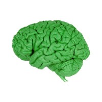 Optimistic Brain Logo